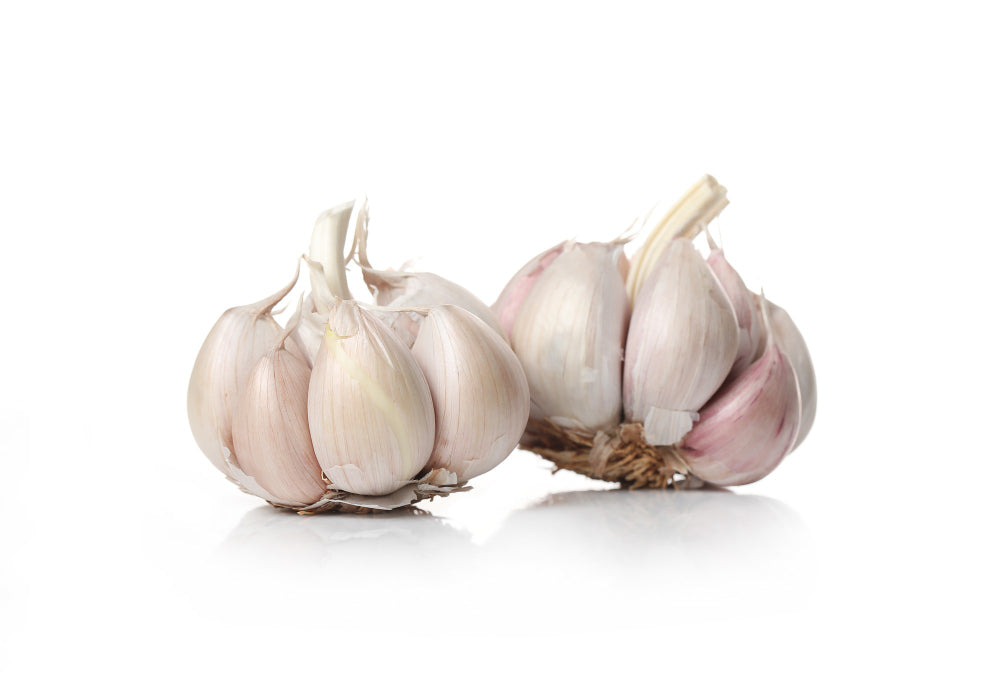 Garlic (लसूण)