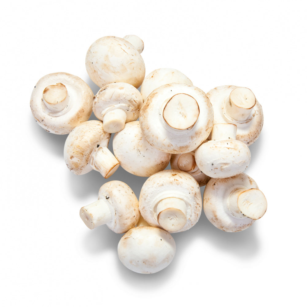 Mushroom (मशरूम)