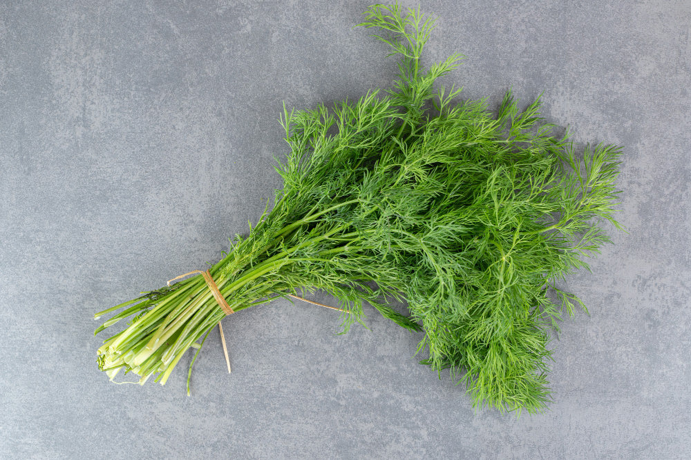 Shepu - Dill Leaves (शेपू)