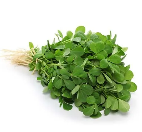 Fenugreek Leaves- Methi (मेथी)