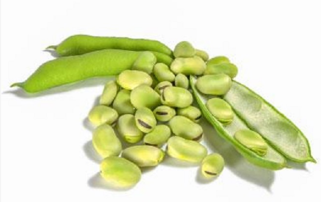 Broad Beans / Fava Beans / Field Bean (ब्रॉड बीन्स / फील्ड बीन्स)