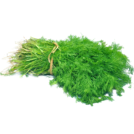 Shepu - Dill Leaves (शेपू)