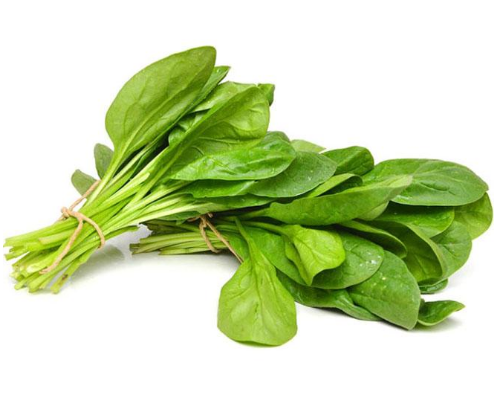 Spinach (पालक)
