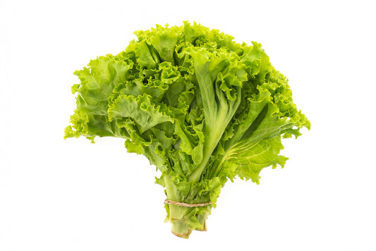 Lettuce (लेट्युस)