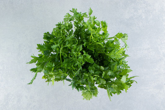 Coriander (कोथिंबीर)