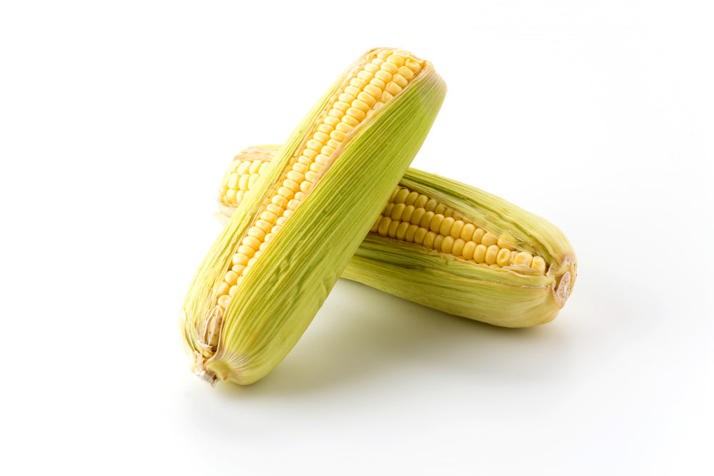 Corn (मका)