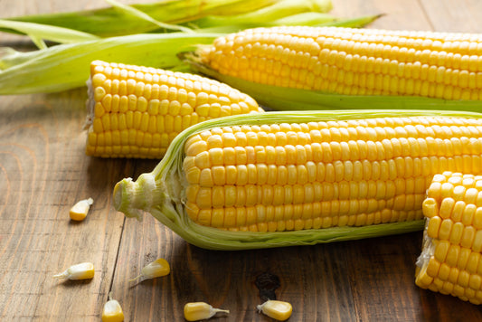 Corn (मका)