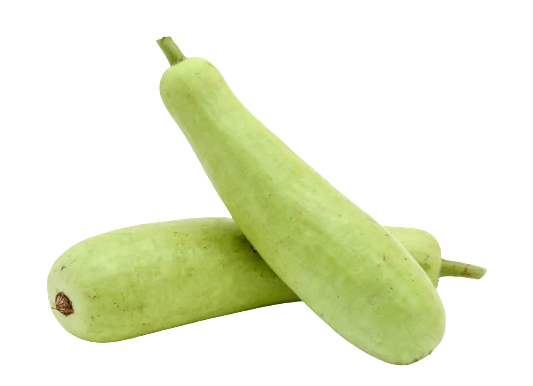 Bottle Gourd (दुधीभोपळा)