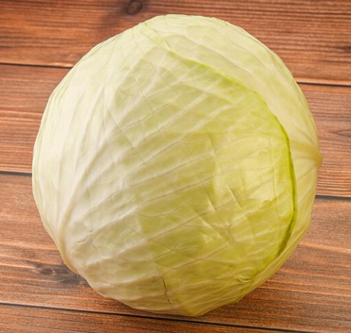 Cabbage (पत्ताकोबी)