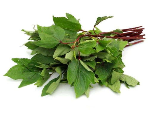 Gongura Leaves (अंबाडीची भाजी)