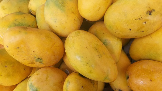 Alphonso Mango (हापूस आंबा)