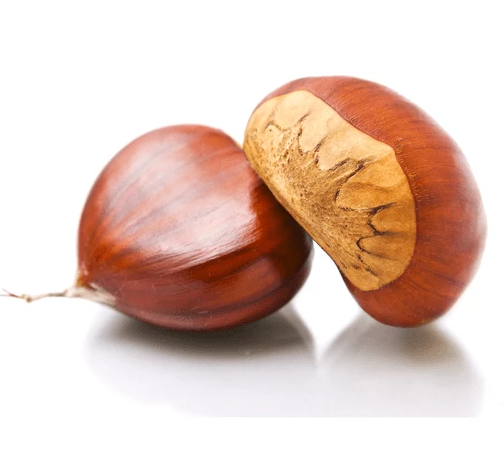 Chestnut (चेस्टनट)